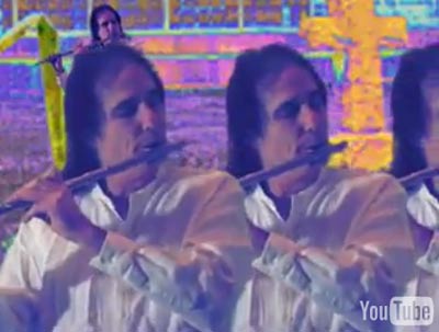 Coyote inside The Lake